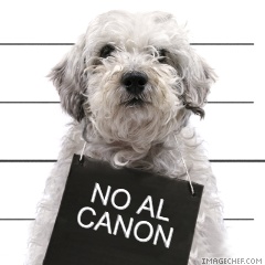 No al CANON
